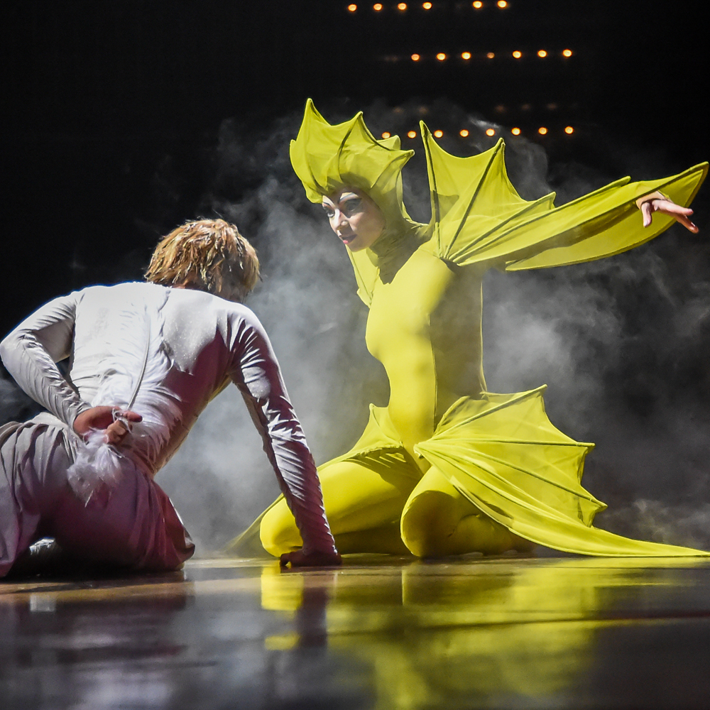 Varekai Cirque du soleil