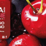 Festa della ciliegia Conversano