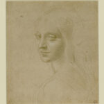 Leonardo da Vinci Volto di fanciulla MRT Biblioteca Reale
