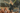 Nek Porto Recanati recensione