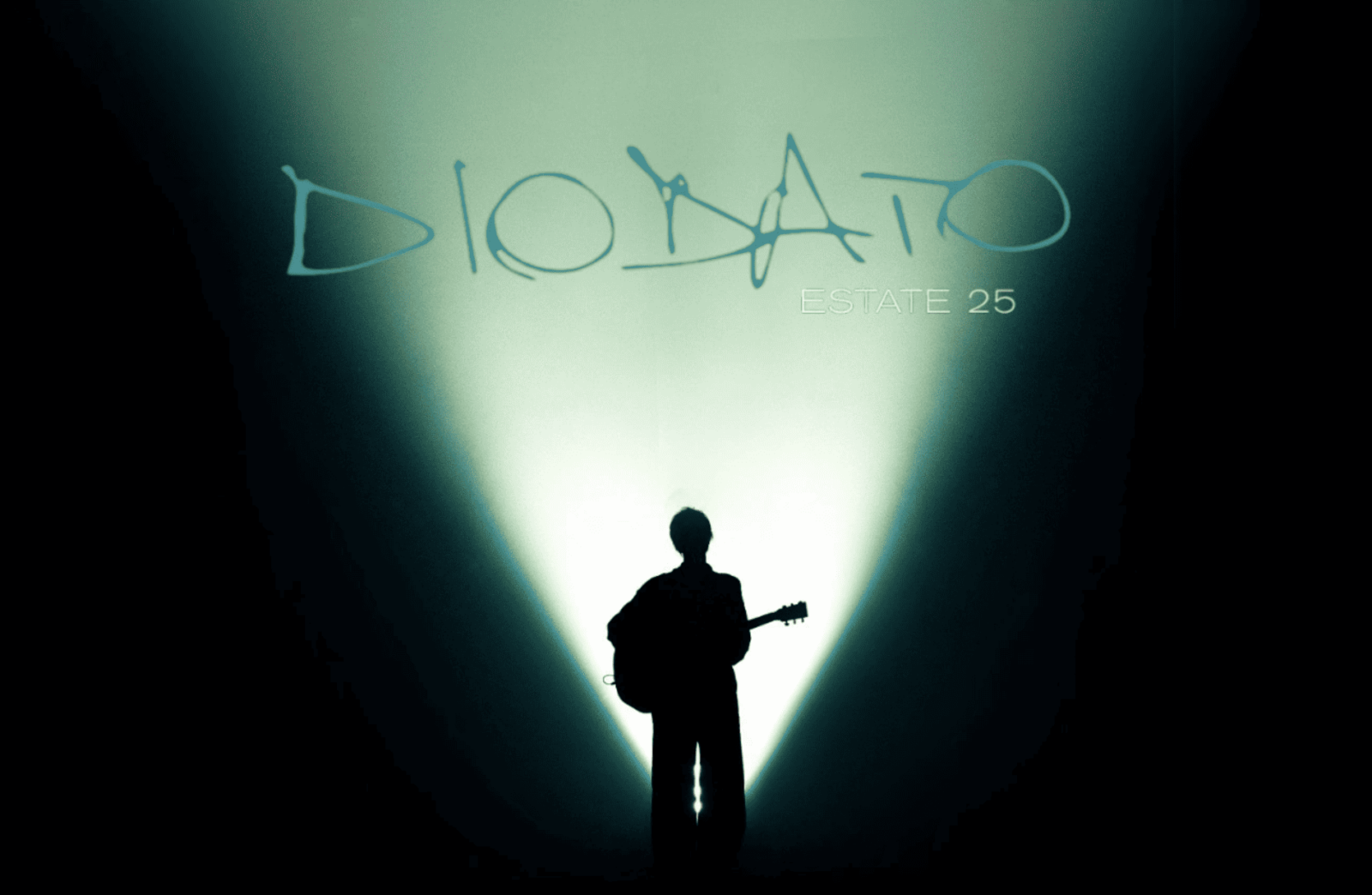 scaletta concerto Diodato