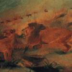 Antonio Ligabue Cagliari