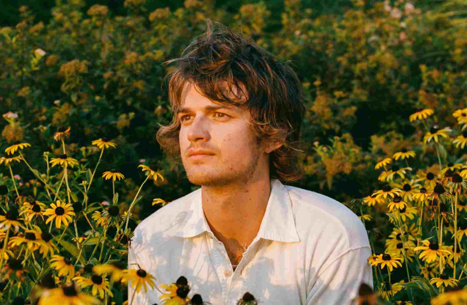 Djo End of Beginning Spotify