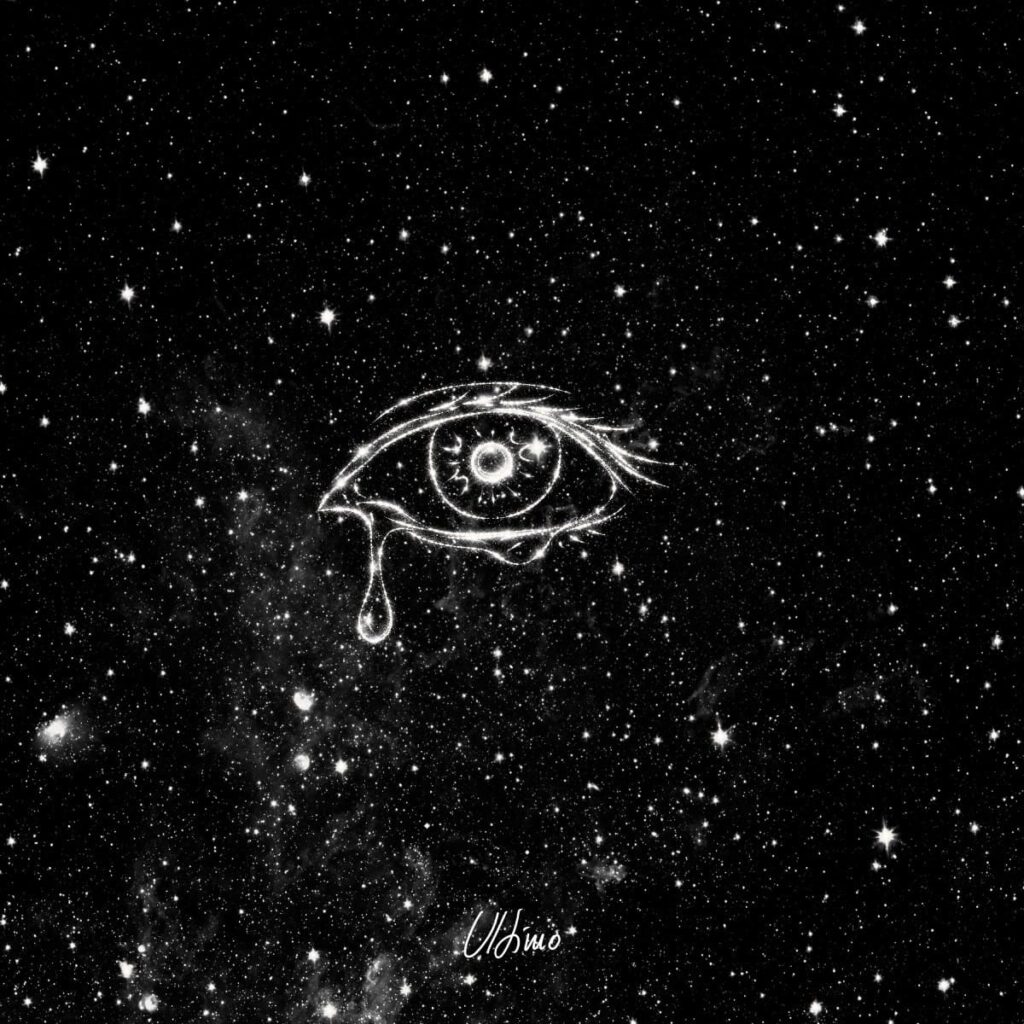 cover Ultimo Questa insensata voglia di te