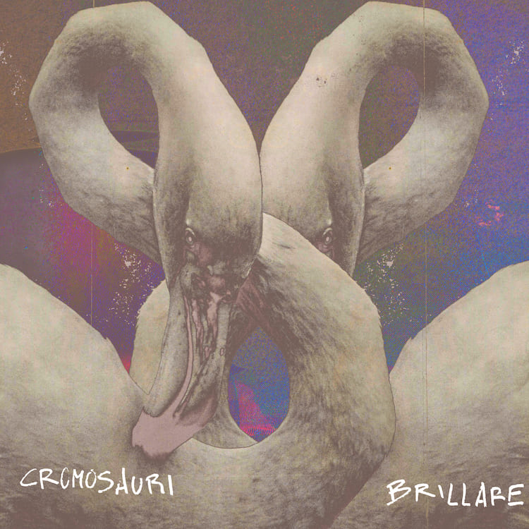 Brillare artwork Cromosauri