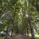 Parco Real Polverificio Borbonico