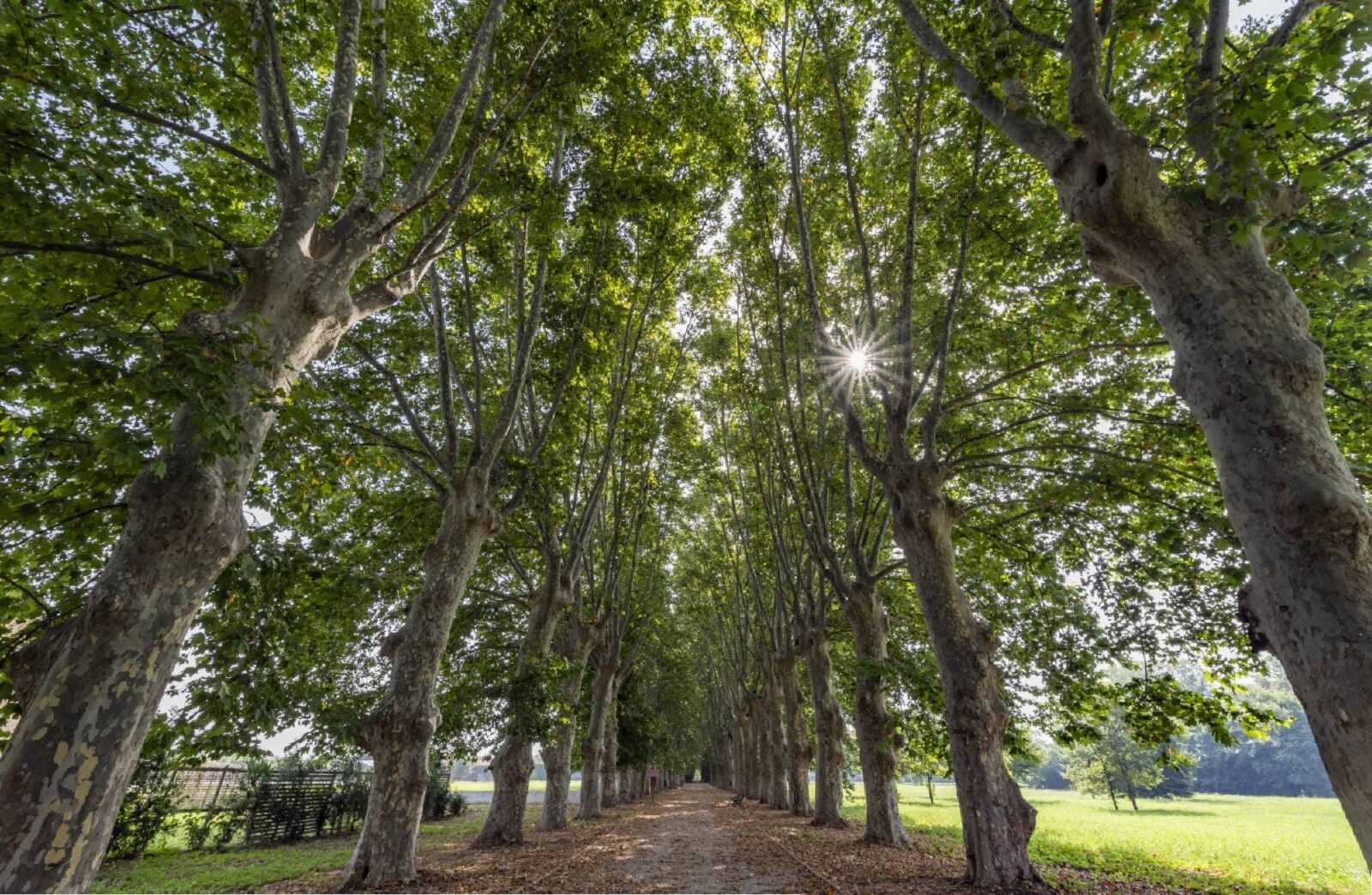 Parco Real Polverificio Borbonico