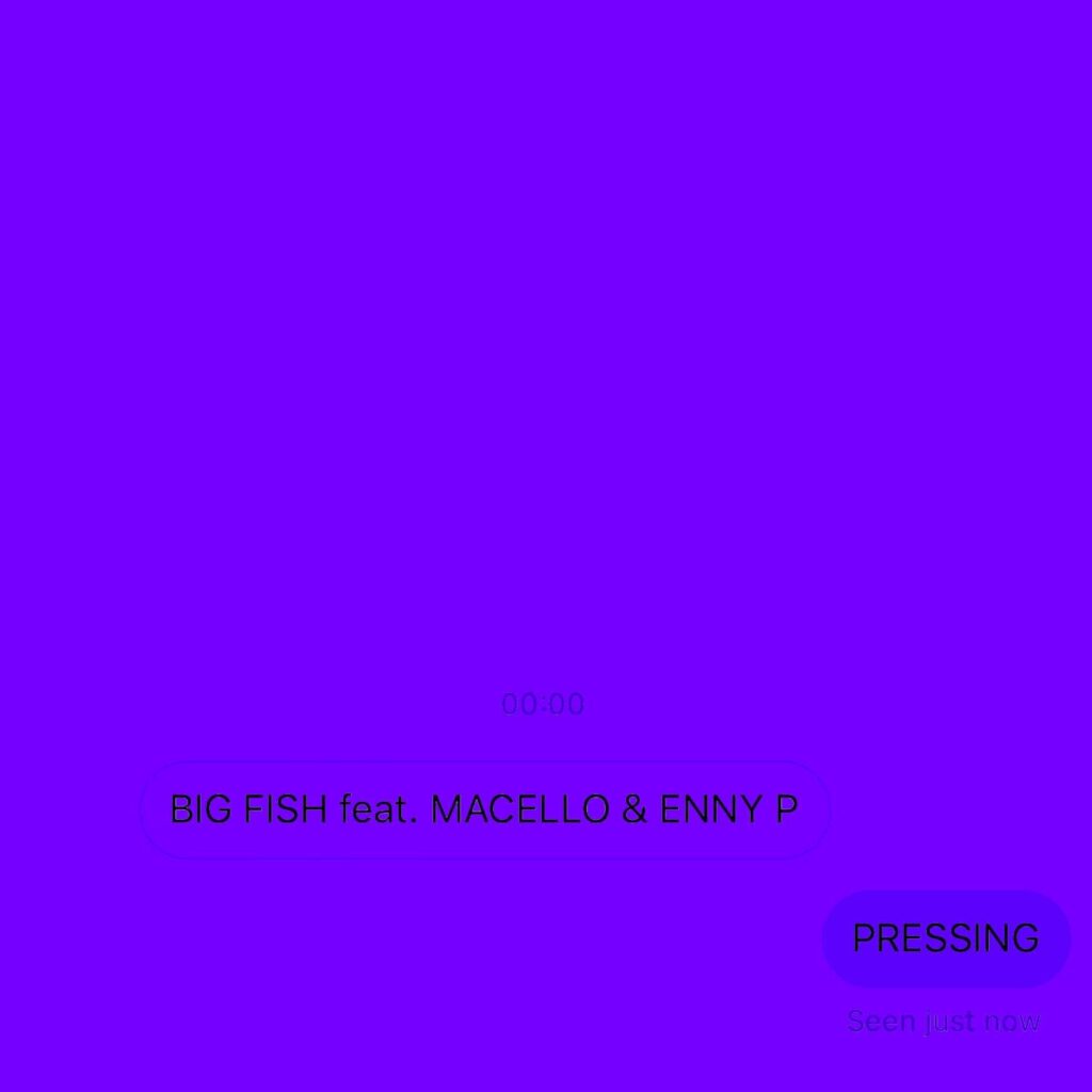 copertina Big Fish Pressing