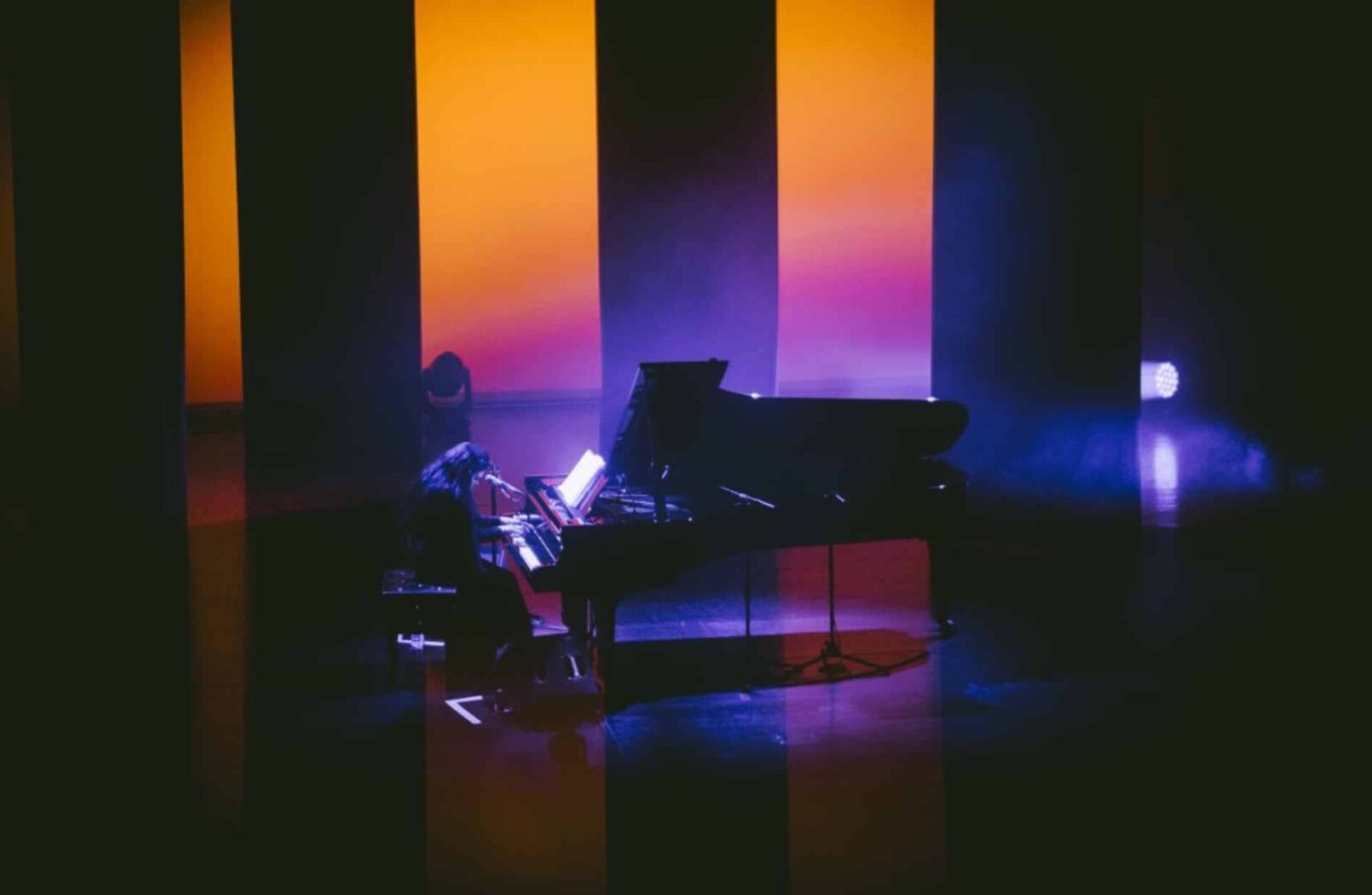 Diamanda Galás Senigallia