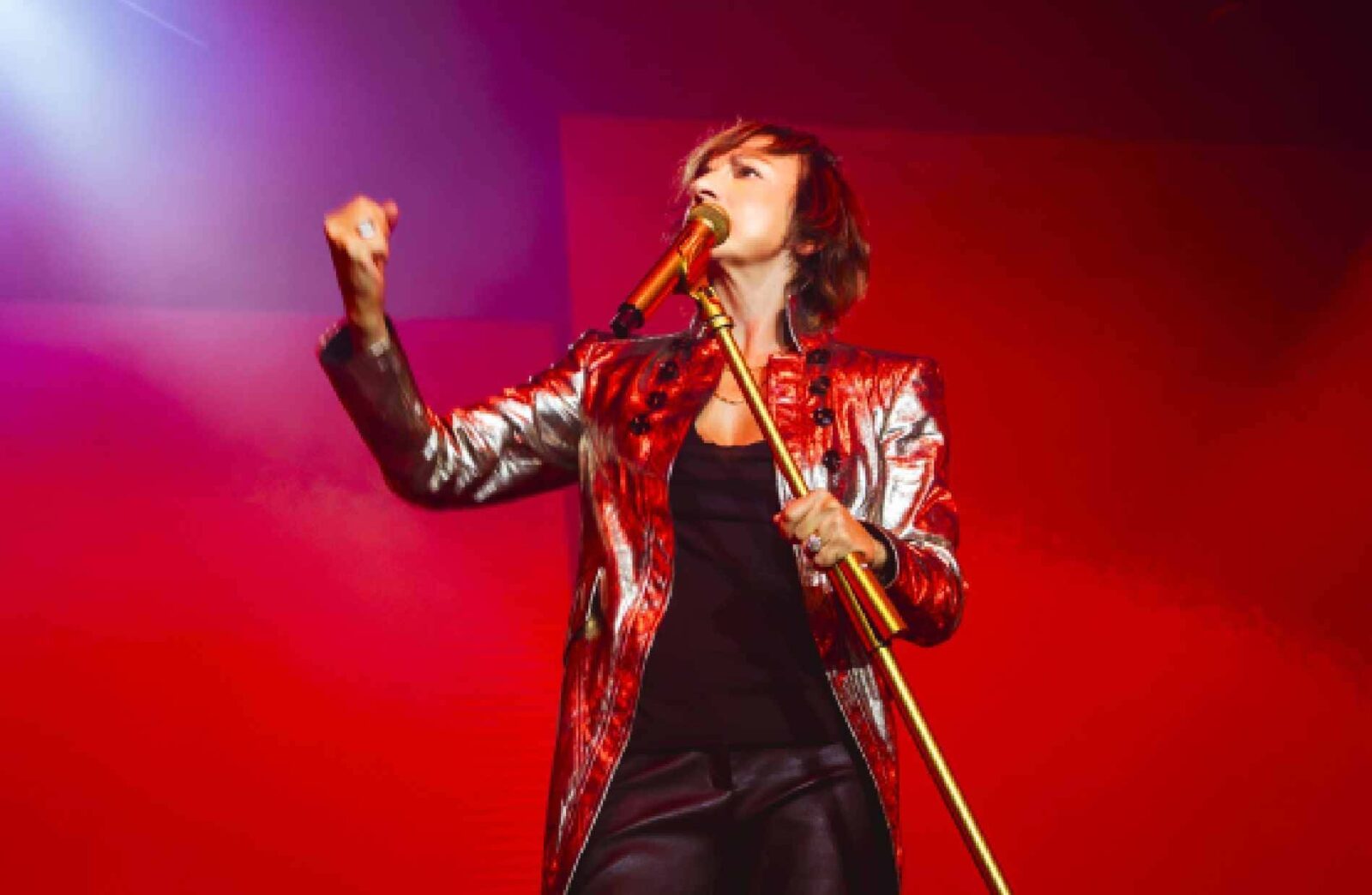 Gianna Nannini concerto Berlino
