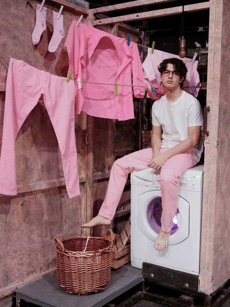 Il ragazzo dai pantaloni rosa musical recensione
