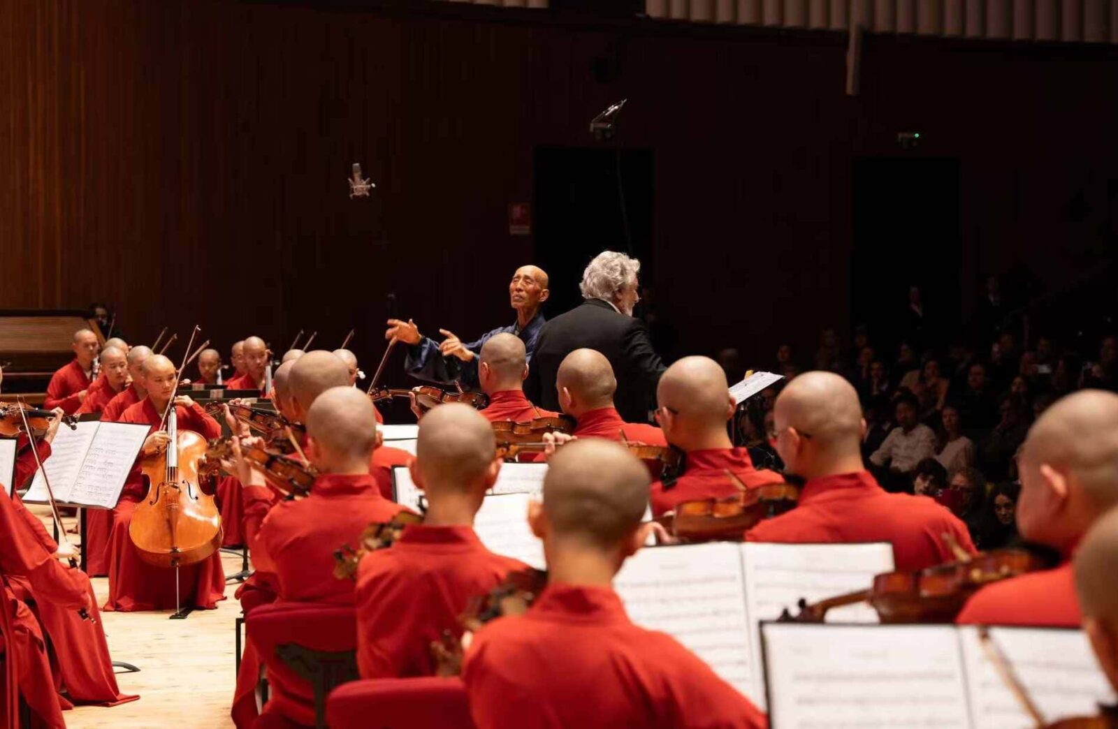 Wule Symphony Orchestra Milano e Monza